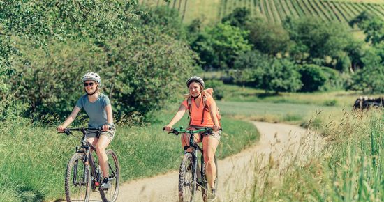 Am Württemberger Weinradweg im Leinbachtal | Schwaigern | HeilbronnerLand