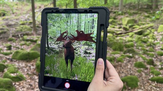 Ur-Tiere an der Neckarriedkopfhütte