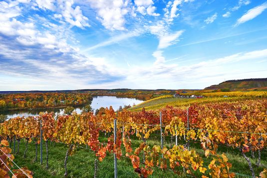 HL_Löwenstein_Breitenauer See im Herbst