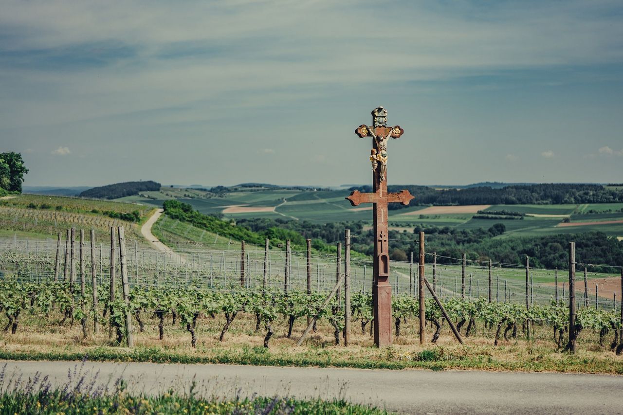 Aussicht über die Weinlandschaft | Liebliches Taubertal Aussicht über die Weinlandschaft | Liebliches Taubertal