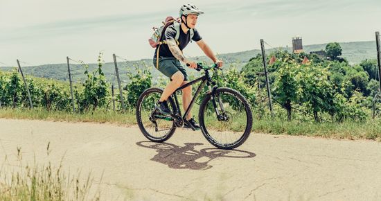 Mountainbiker am Wartkopf | Beilstein | HeilbronnerLand