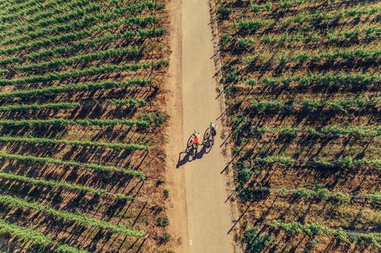 Radfahren zwischen Weinreben | Brackenheim | HeilbronnerLand