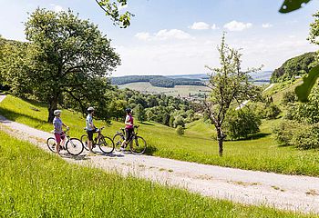 Naturparktouren im Schwäbisch-Fränkischen Wald - aussichtsreiche Höhenzüge in den Löwensteiner Bergen