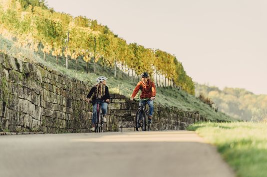Radfahrer in Weinsberg | Touristikgemeinschaft HeilbronnerLand | Chris Frumolt