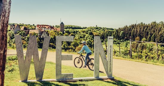 Fotospot Wein mit Blick auf Burg Liebenstein | Neckarwestheim | HeilbronnerLand