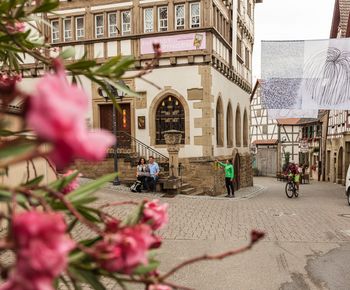 Fachwerkstadt Eppingen mit Fachwerkmuseum "Alte Universität" - HeilbronnerLand