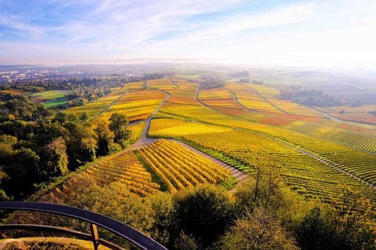 HL_Panorama_Heuchelberger Warte