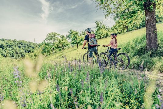 Naturparktouren HeilbronnerLand - Wiesen, Wald & Wein Naturparktouren HeilbronnerLand - Wiesen, Wald & Wein