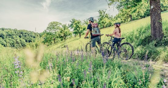 Naturparktouren HeilbronnerLand - Wiesen, Wald & Wein