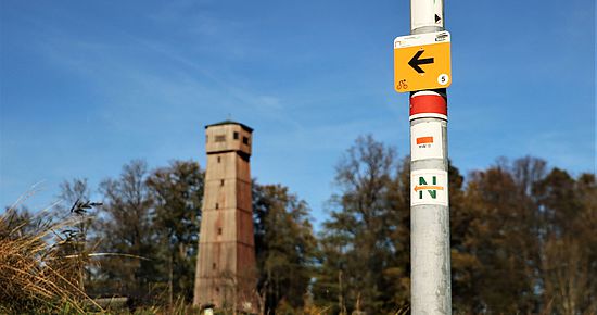 IVB MTB Tour 5 – Steinknickle Neuhütten