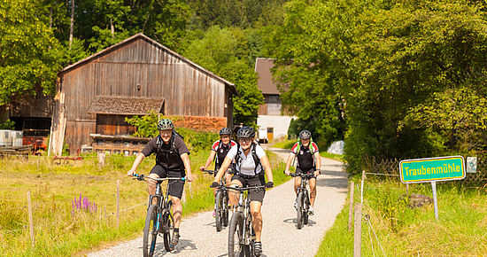 Radweg Idyllische Straße (Foto: Markus Schultz)