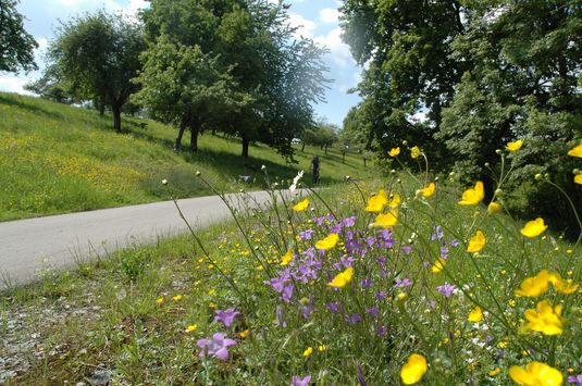 Brettachtal-Radweg Brettachtal-Radweg