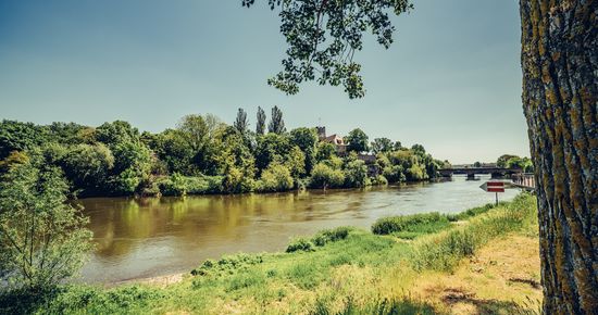 Am Neckarufer mit Sicht auf die Neckarburg | Lauffen a.N. | HeilbronnerLand