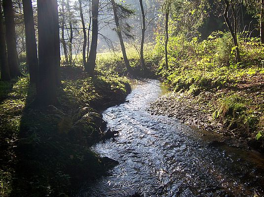 Im Naturpark Schwäbisch-Fränkischer Wald Im Naturpark Schwäbisch-Fränkischer Wald