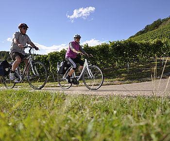 Weinradwege - Unterwegs am Württemberger Weinradweg im HeilbronnerLand