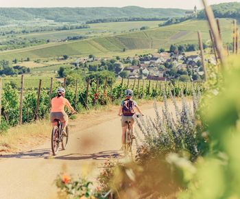 WeinRadeln am Zweifelberg | HeilbronnerLand