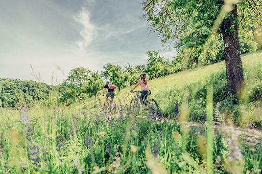 Radfahren im Schwäbisch-Fränkischen Wald | Touristikgemeinschaft HeilbronnerLand | Chris Frumolt