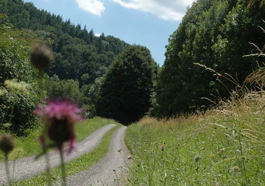 Seitentäler der Jagst - Radweg im Kessachtal Seitentäler der Jagst - Radweg im Kessachtal