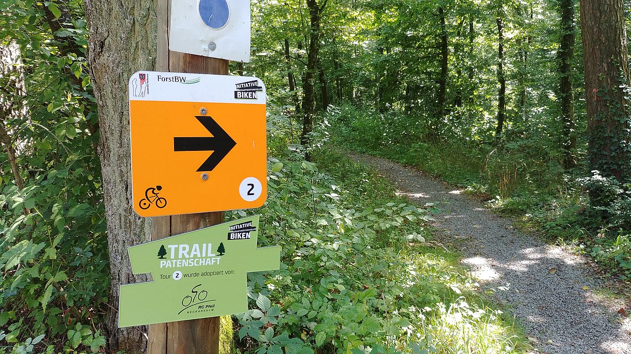 MTB Salzweg Heilbronn Radfahren BadenWürttemberg