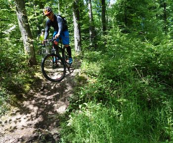 MTB Fahrtechnik-Kurse mit "Berg Rad Touren"