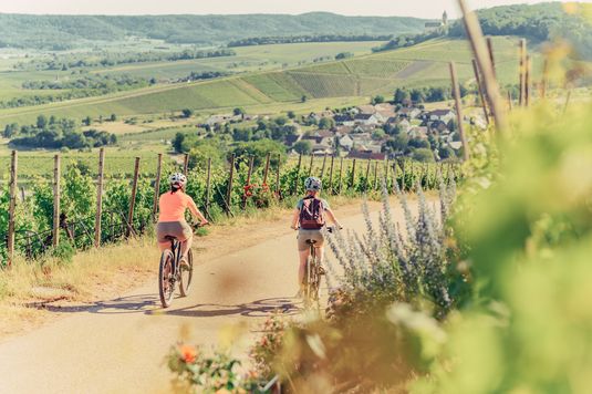 Radfahren am Zweifelberg | Touristikgemeinschaft HeilbronnerLand | Chris Frumolt