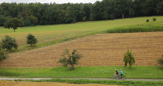 Radfahrer in Natur (Foto: Andi Schmid)