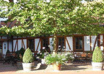 RNK_Weinstube Menges