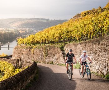 Neckartal-Radweg - Deutschlands kontrastreichster Flussradweg