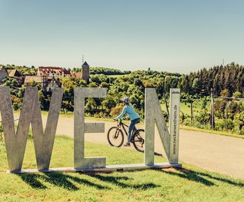 Foto-Spot Wein Blick auf Burg Liebenstein | Neckarwestheim | HeilbronnerLand