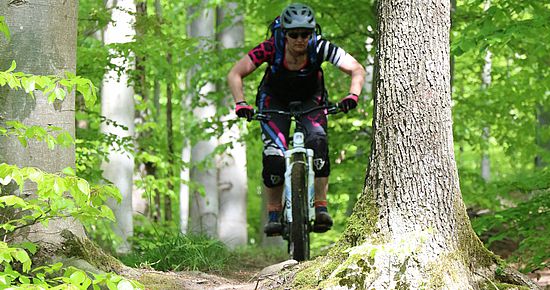 MTB-Touren in den Naturparken - Mountainbike Baden-Württemberg