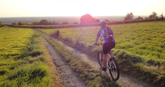 ODW_Mountainbikekarte