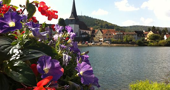 Neckargemünd - die schöne Nachbarin Heidelbergs