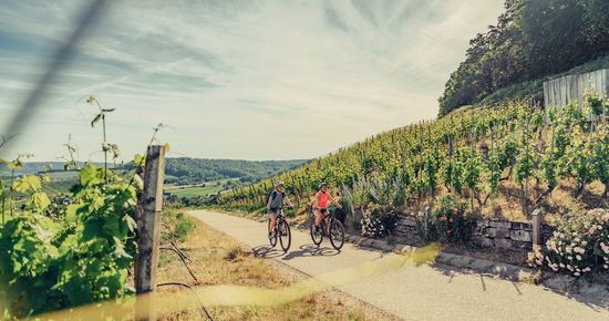 Kurzreisen Rad im goldenen Herbst | HeilbronnerLand | © Christian Frumolt