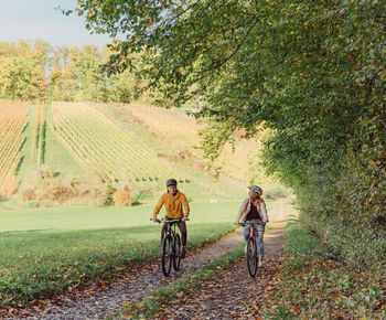 Radfahrer unterwegs am herbstlichen Waldrand | Touristikgemeinschaft HeilbronnerLand |© Christian Frumolt