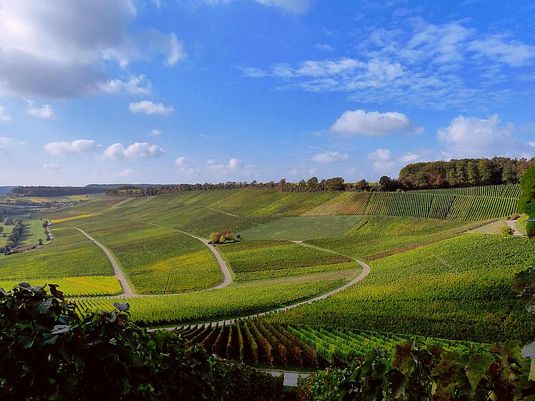 Unterwegs im Naturpark Stromberg-Heuchelberg | Wein.Wald.Wohlfühlen Unterwegs im Naturpark Stromberg-Heuchelberg | Wein.Wald.Wohlfühlen
