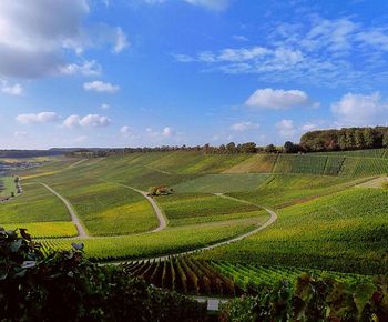 Unterwegs im Naturpark Stromberg-Heuchelberg | Wein.Wald.Wohlfühlen