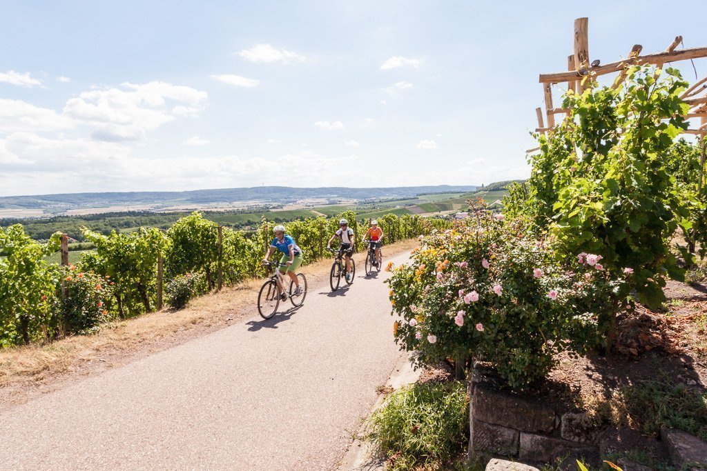 Radfahren im Weinsüden Baden-Württemberg HeilbronnerLand - Radfahren im Weinsüden Baden-Württemberg